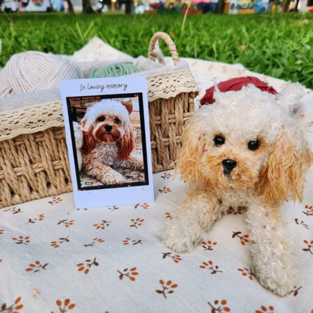 RusticĀ® - Custom Pet Crochet
