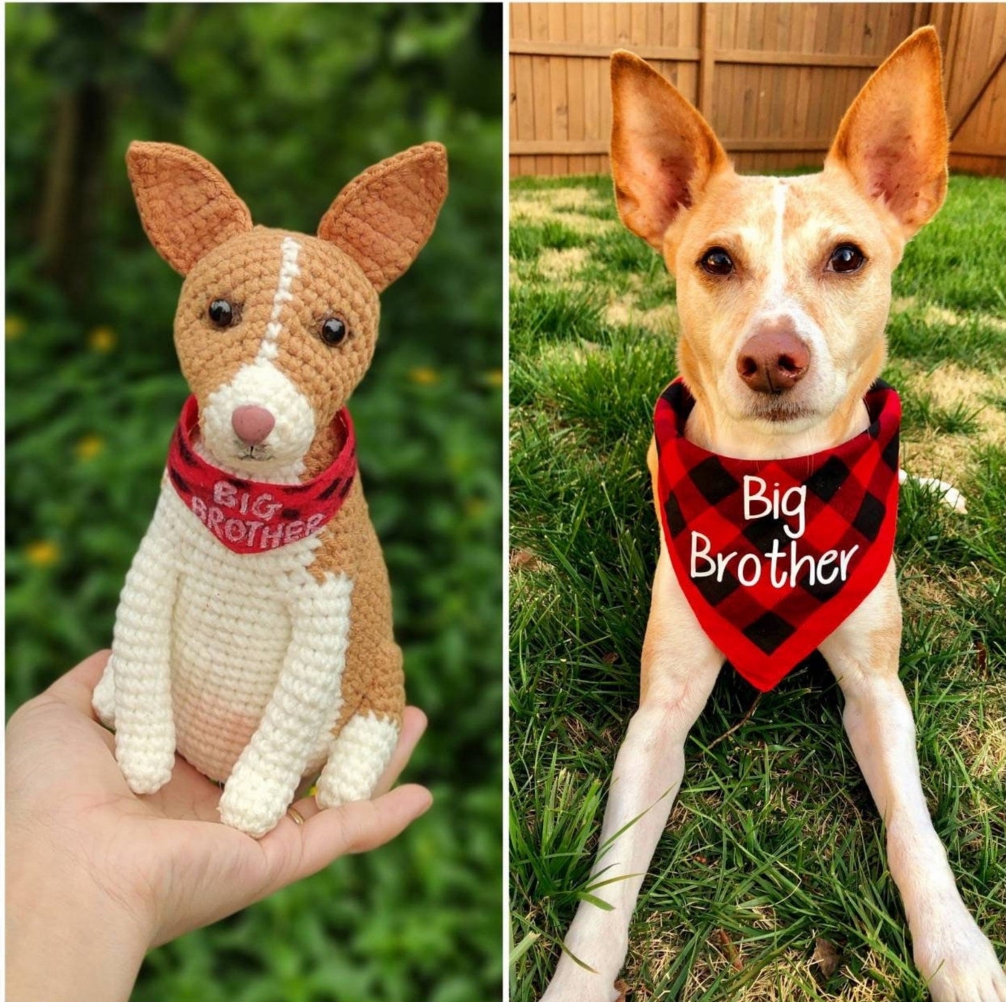 RusticĀ® - Custom Pet Crochet
