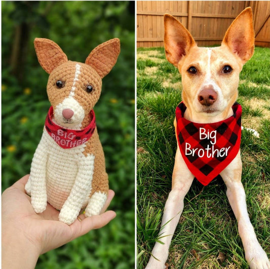 Rustic® - Custom Pet Crochet